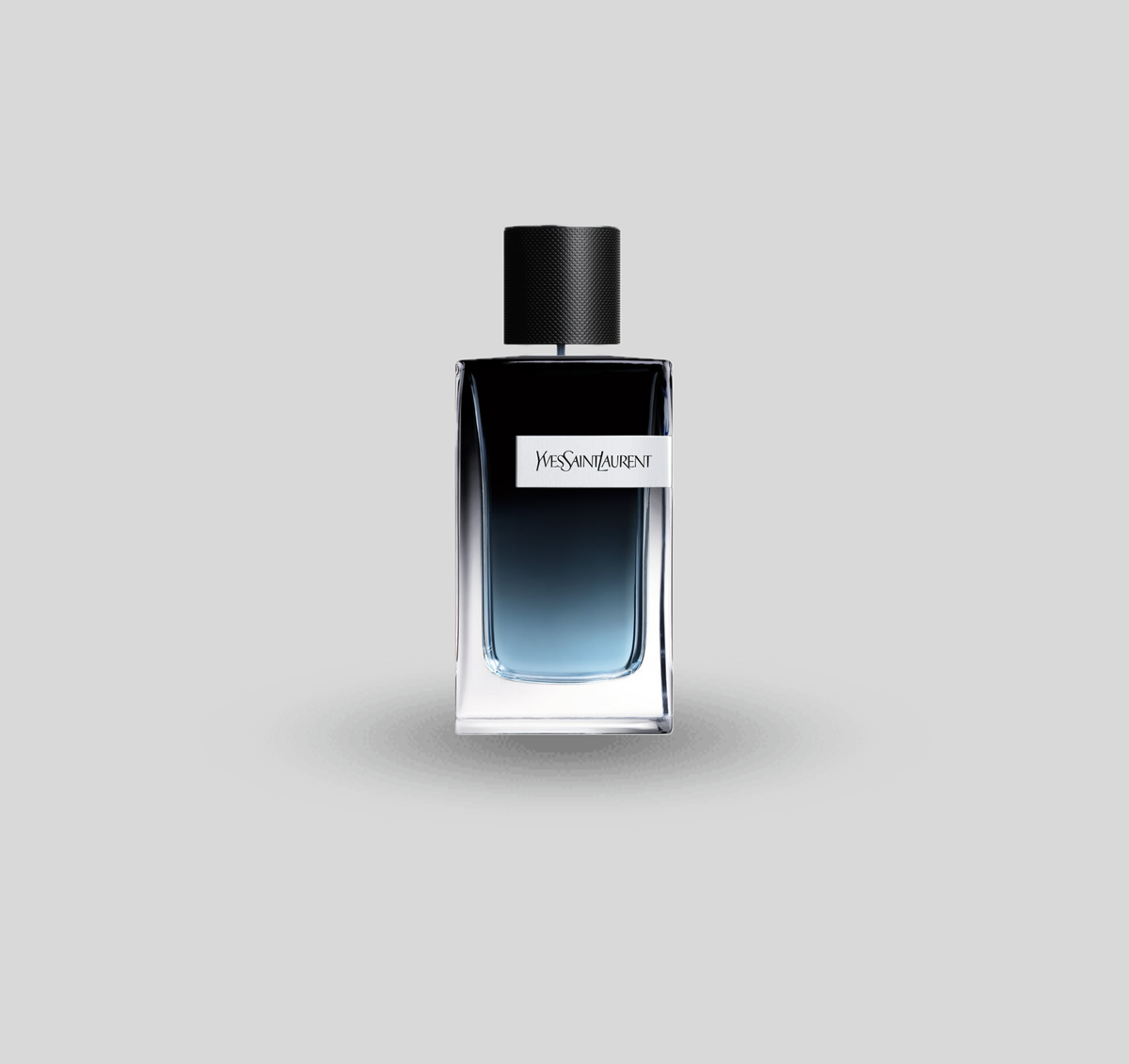 YSL Y EDP